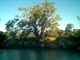 Dusk on the banks of the Darling River