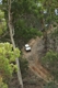 Steep%2bgoing%2bnear%2bBald%2bHill