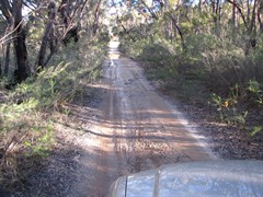 Morton National Park