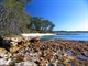 Bristol Point