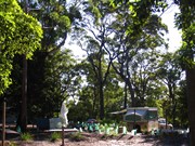 Greenpatch campsite Jun 06