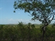 View of Darwin City from CDNP