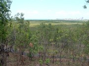 View from CDNP