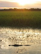 Kakadu National Park