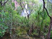 Wangi falls from the boardwalk
