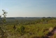 Gregory NP 2001