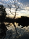 Sunset on Yellow Waters