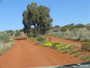 Level section of track between dunes