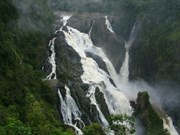 Barron Falls after Cyclone Larry 
