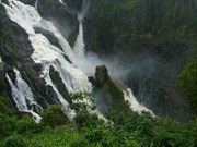 Barron Falls after Cyclone Larry 