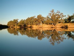 Welford National Park 