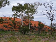 Welford National Park 