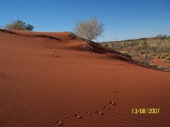 Welford National Park 