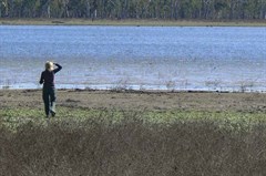 Lake Murphy Conservation Park - Lake Murphy 