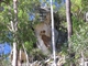 The Bigfoot formation