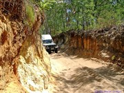 Middle Road 2005