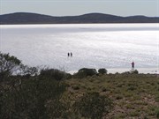 Walking on water?