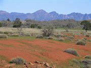 Outback colours Aug 05