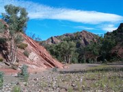 Brachina Gorge