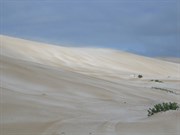 Sand Hills 