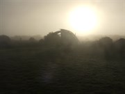 Foggy Sunrise-Long Gully Campground