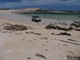 Pristine beaches 