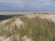 Lake Bonney lookout