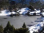 After a very cold night