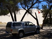 Snowdrfit sandhill