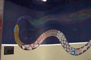 Beautiful aboriginal paintings inside the Visitor Centre