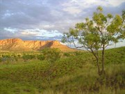 Purnululu NP WA (Bungle Bungles)