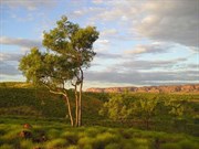 Purnululu NP WA