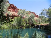 Fern Pool in Dales Gorge