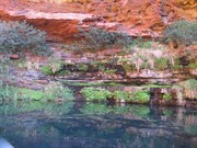 Circular Pool