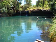 Fern Pool - Karijini