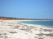 Secluded campsites along beautiful coastline like this