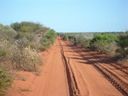 Main north - south road in the National Park - south of Bottle