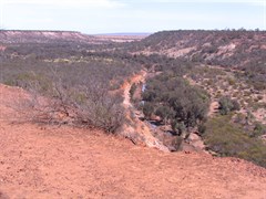 Coalseam Conservation Park