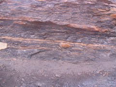 Coalseam Conservation Park