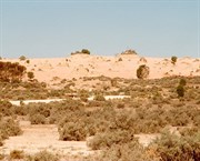Lake Mungo lunette
