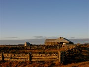 Mungo Woolshed
