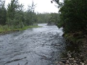 Rapids on Shoalhaven River