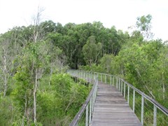 Fogg Dam