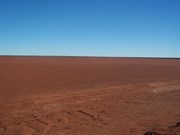 Lake Caroline - looking south