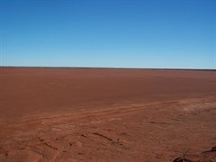 Lake Caroline