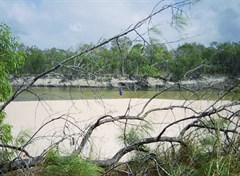 Jardine River