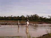 Flinders Crossing 2