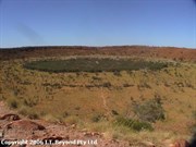 Wolfe Creek 