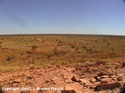 View from Wolfe Creek 