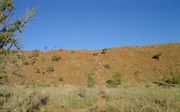 Wolfe Creek Crater